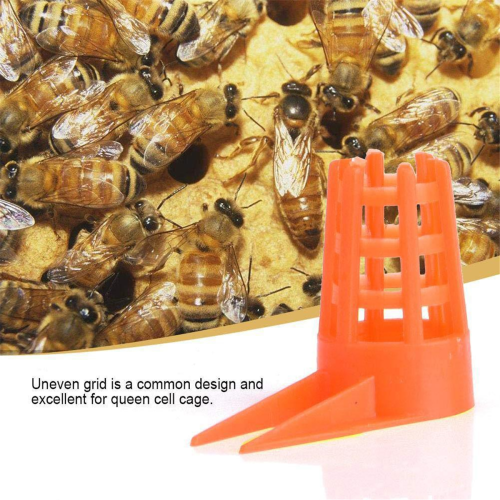 Protetores de Célula Queen com Pente de Encaixe para Bee Queen 2