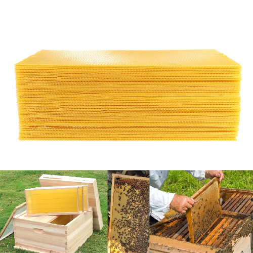 30 folhas de base Bee Hive, folhas de base de cera de abelha profunda 2