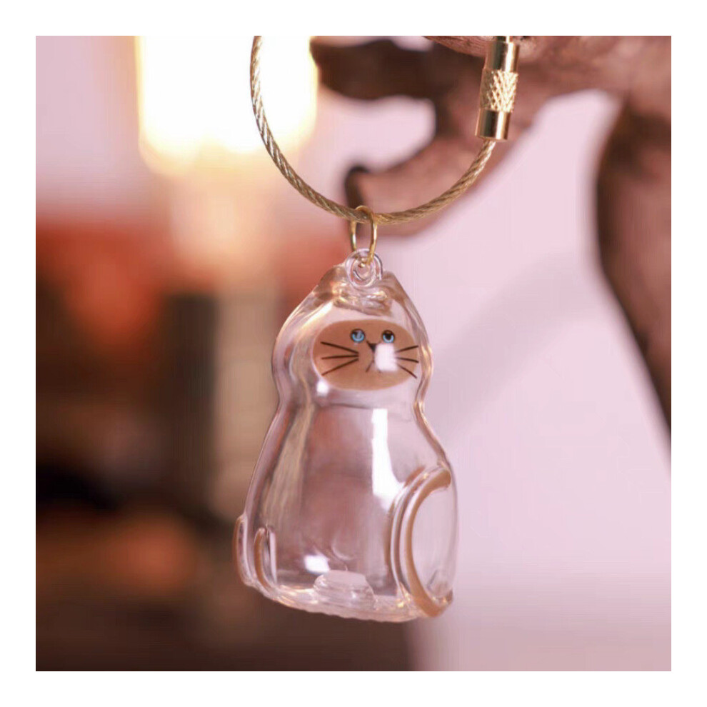 (Style D)Boîte de Rangement Cheveux de Chat Transparente Pendentif Rangement Cheveux Capsule Jouets Porte-clés