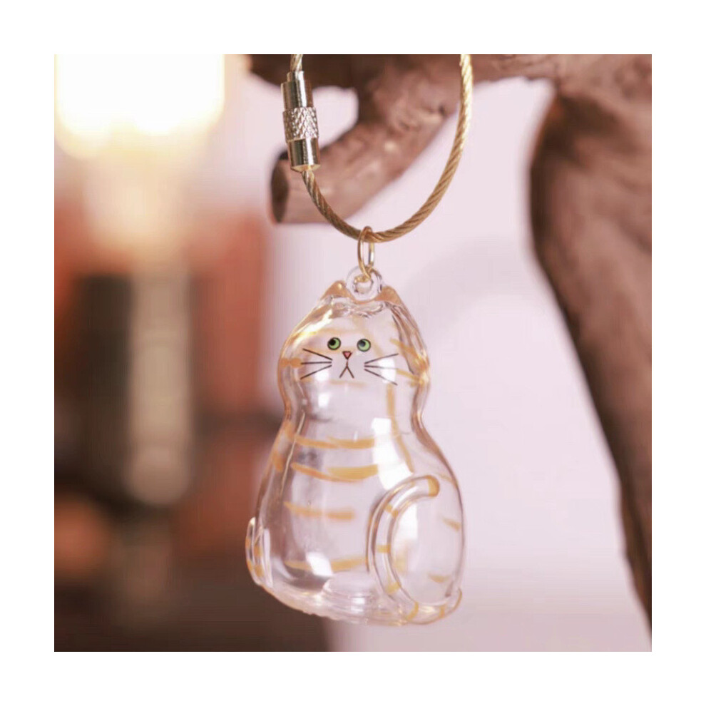 (Style F)Boîte de Rangement Cheveux de Chat Transparente Pendentif Rangement Cheveux Capsule Jouets Porte-clés