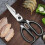 Panda Design Kitchen Shears with Sheath - Multi-Tool Stainless Steel Scissors (Bottle Opener, Nut Cracker, Herb Cutter) 4
