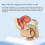 1:2 Male Pelvic Sagittal Section Testicular Prostate Bladder Rectal Urinary System Model 16