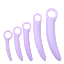 5-Pack Silicone Pelvic Floor Muscle Dilator Trainer SetPelvic Wand Massager for WomenPelvic Floor Muscle Trainer, Pelvic Purple
