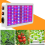 3000W LED Grow Light Υδροπονικό Φως Πλήρους Φάσματος Εσωτερικής Φύσης για Σκηνή Φυτών 5