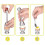 Egg Cutter Topper Set 5 PCS Complete Soft Boiled Egg Tool Set Includes Egg Topper Shell Remover, Egg 4