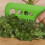 Good Grips Herb and Kale Stripping Comb,Green,One Size 2