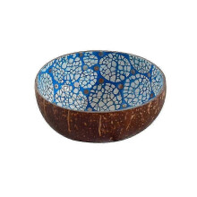 conCoconut Bowls Natural Coconut Shell Storage Bowl Coconut Serving Bowls Candy Container Nuts Holder