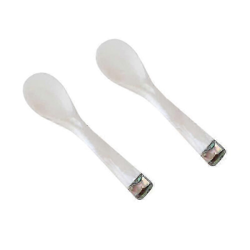 2pcs Kitchen utensils,  Shell Spoon 2