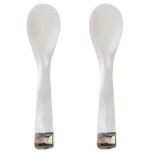2pcs Kitchen utensils, Shell Spoon
