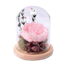 Led Lamp Glass Cover Eternal Flower Birthday Gift For Girlfriend Mother's Day Peony Hydrangea
