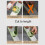 Vegetable Cutter Multifunctional Rustproof Veggie Potato Chopper Garlic Chopper for Home Kitchen Restaurant 4