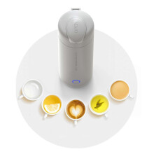Portable Electric Heating Water Cup Travel Automatic Heating Cup Mini Electric Kettle CN