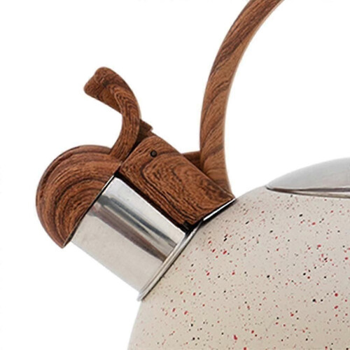 Stainless Steel Kettle Enamel Tea Kettle Kitchenware 1