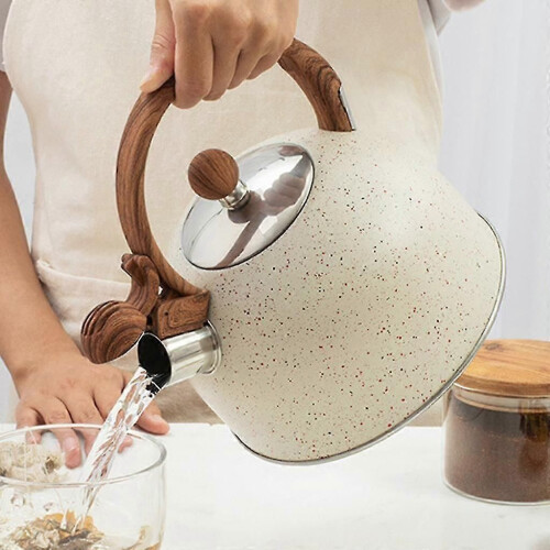 Stainless Steel Kettle Enamel Tea Kettle Kitchenware 2