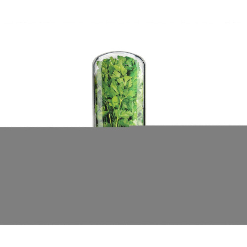 Herb Savor Eco White/Green Herb Keeper for Fresh Herbs Storage