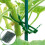 100pcs Adjustable Plastic Plant Cable Ties Reusable Cable Ties For Garden Tree Climbing Support Plant 2