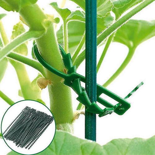 100pcs Adjustable Plastic Plant Cable Ties Reusable Cable Ties For Garden Tree Climbing Support Plant 1