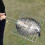 Non-Stick BBQ Grill Mesh, Fish/Meat Cooking for Oven 2