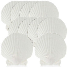 Lot de 15 coquillages naturels blancs de 10 à 12 cm, pour loisirs créatifs, service et pâtisserie