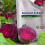 Strong Beetroot Extract Tablets (100 Pack) 1600mg, Healthy Heart, UK 4