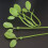 ()10-Piece Stainless Steel Gold Leaf Coffee Spoon appetizer fork--Creative Tableware Dessert Spoons, 4