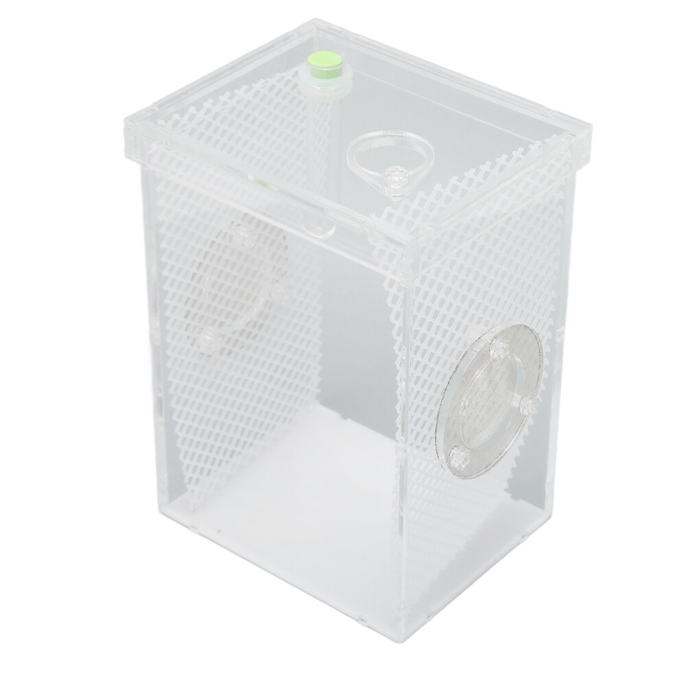 Reptile Insect Enclosure Tank Mini Acrylic High Transparency Moisturizing Reptile Insect Breeding Box L