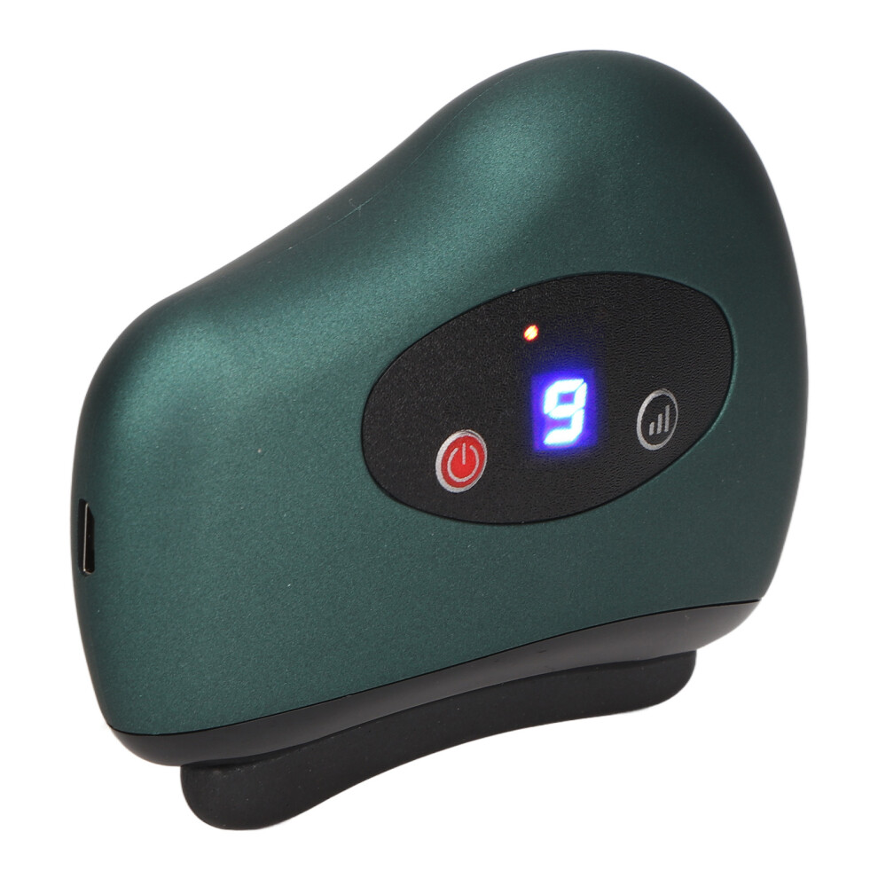 Stone Needle Electric Gua Sha Facial Tool 9 Gear Vibration Heating Face Sculpting Massager Tool for Body Massage