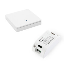 Wireless Smart Light Switch RF 433MHz Lighting Control Intelligent AC 90-250V 10A Module( 1 W and C)