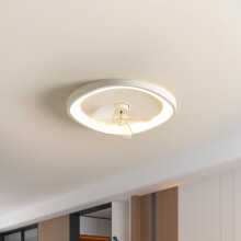 Modern LED Ceiling Light with Fan