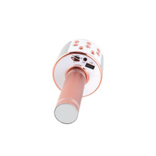 Professionelles BT Wireless Mikrofon Karaoke-Lautsprecher 1800mAh Roségold