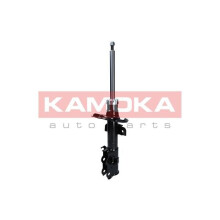 2000252 Schokdemper voor Toyota Prius NHW11