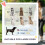 PawHut PawHut Foldable Pet Stroller for Large Dogs, Dark Green 8