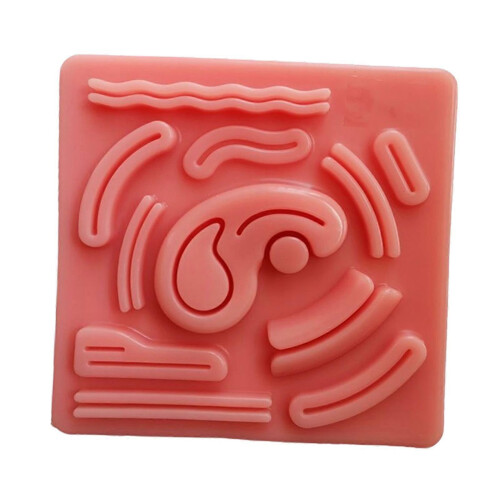 (As show, One size) Simulation Abdominal Cavity Suture Pad Model Module for Practice Tool Accessories Supplies 2