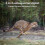 (As show, One size) Trail Camera, Hunting Camera with Wide-Angle Motion Latest Sensor View Trigger Time Trail Game Camera 4