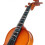 (As show, One size) 1/2 Violin Beginners Students Fingerboard Position Sticker Finger Chart 5