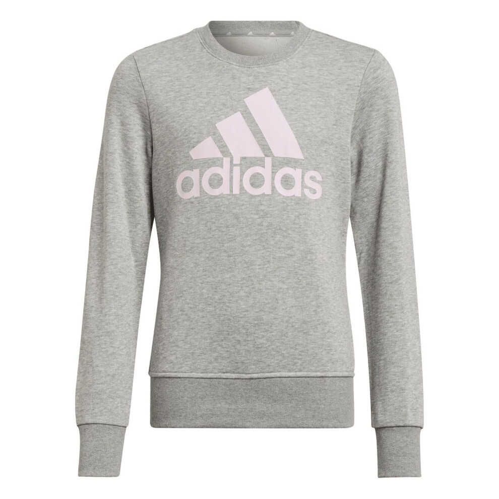 Adidas (5-6 Years, ) Essentials Big Logo Sweatshirt Girls Grey Size 5