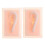(As show, One size) 2Pcs Lifesize Silicone Human Left Acupuncture Ear Model  Study Kit 5