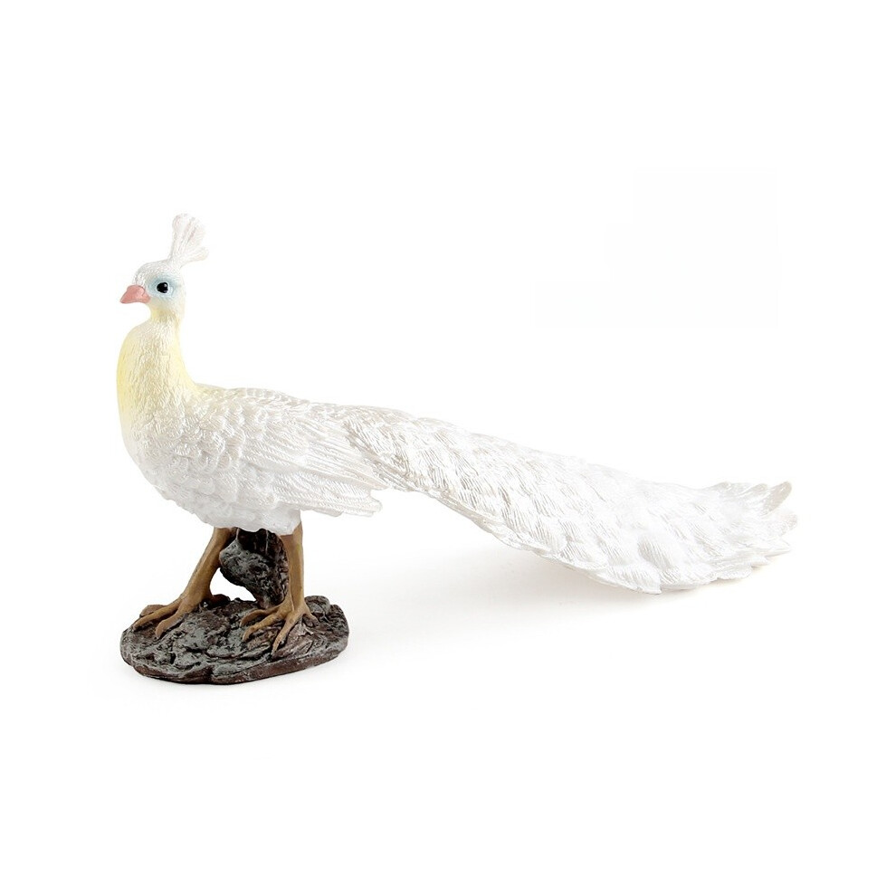 (White )Oiseaux Sauvages Animaux Paon Modèles Convient Pour Amateurs De Nature Collectionneurs Et