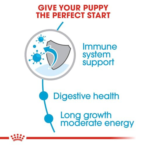 Royal Canin ROYAL CANIN Maxi Puppy 15 kg 1