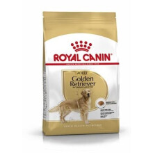 Royal Canin Golden Retreiver Adult Dry Dog Food 12kg