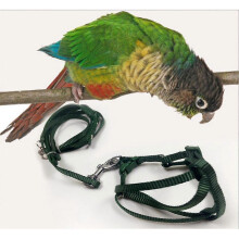 (S, One size) Adjustable Reptile Pet Lizard Bird Ferret Rat Harness Leash Lead Rope Light Soft Size S ( Random Color )