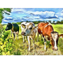 (19.6X27.6 inch, One size) Diamond Painting Farm Paintings Of Rhinestones Animal Diamond Mosaic Drill Full Cow Diamond Embroidery Hobby Home Decor