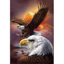 (15.7x19.6inch, One size) Diy 5d Eagle Diamond Painting Kits For Adults Kids Round Full Drill Animals Diamond Art Kits Gem Painting Art Sunset Diamond Painting Kits Mosaic Maki