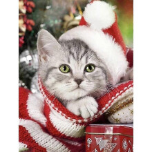 (19.6X27.6 inch, One size) Christmas 5d Diy Diamond Painting Cat Full Drill Diamond Embroidery Dog Winter Decor Home Picture Of Rhinestone