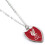 Liverpool FC Liverpool FC Shield Necklace 1