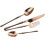 20 Piece Luxury Flatware Set Dishwasher Safe Service for 4 4