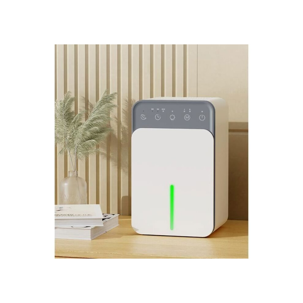 Déshumidificateur d'air électrique avec écran LCD, minuterie 12 h, 2 modes, arrêt automatique