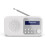 Sharp Kantauradiossa - SHARP - DR-P420 - DAB/DAB+/FM - Bluetooth - USB/Paristovirtalähde 1