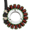 8000A6773 Motorcycle Generator Stator Coil for TE250 TE310 3
