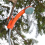 Bärbar campingdusch Utomhus campingduschpump Orange & Grå 2